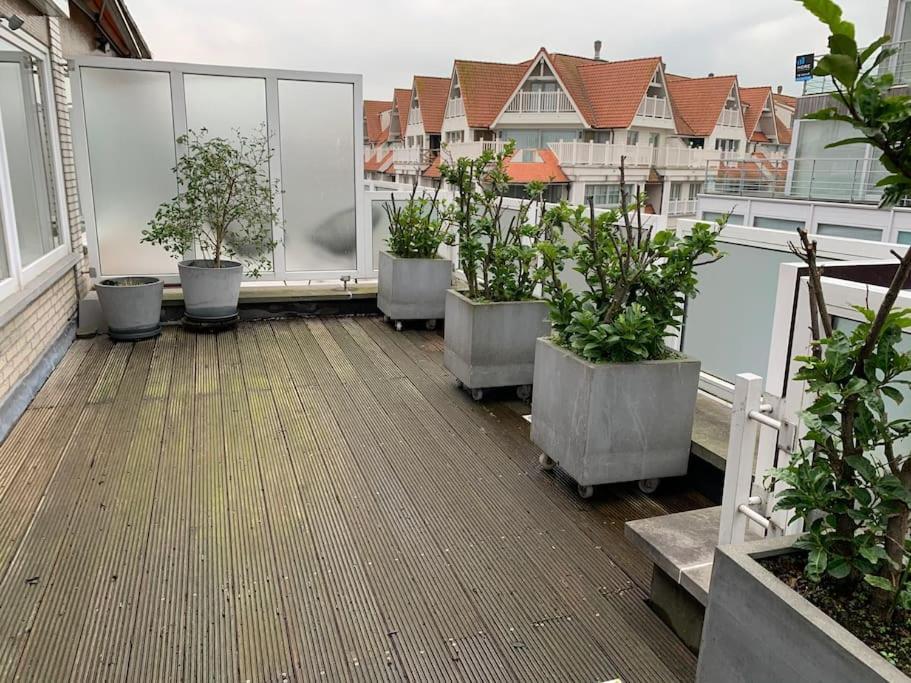 Zoute Penthouse Knokke-Heist Exterior foto